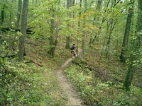 intro picture 1